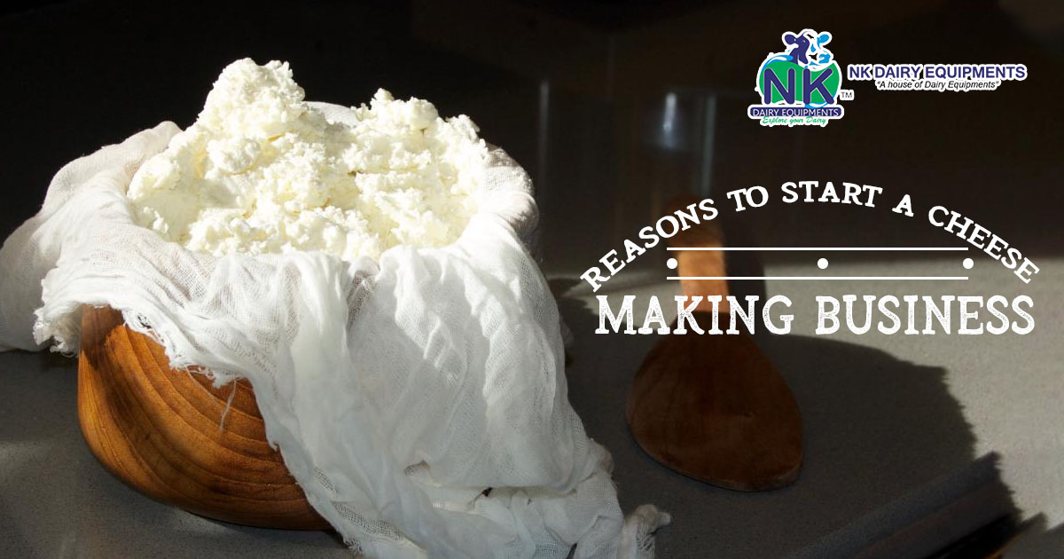 Reasons To Start A Cheese Making Business