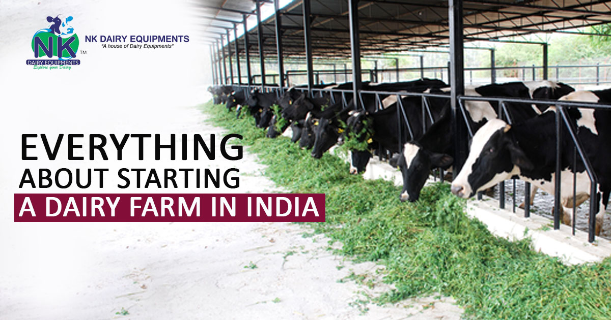 Everything About Starting A Dairy Farm in India