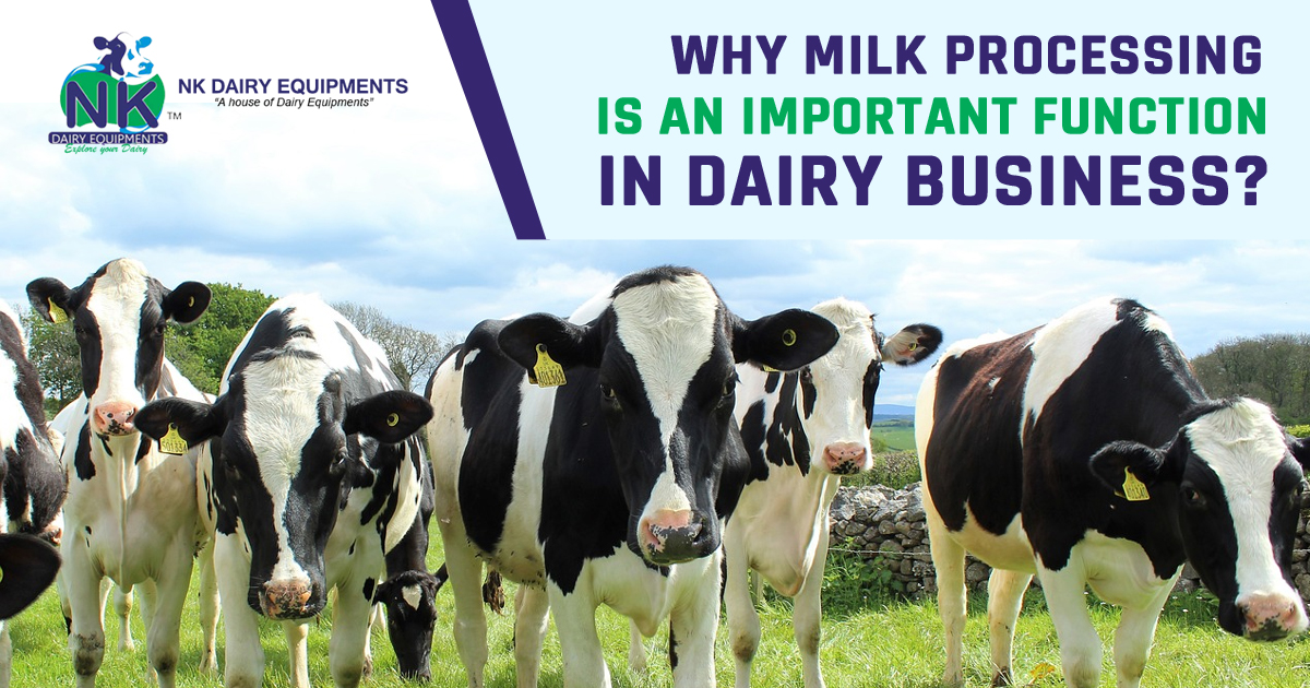 Why Milk Processing is an Important function in Dairy Business copy