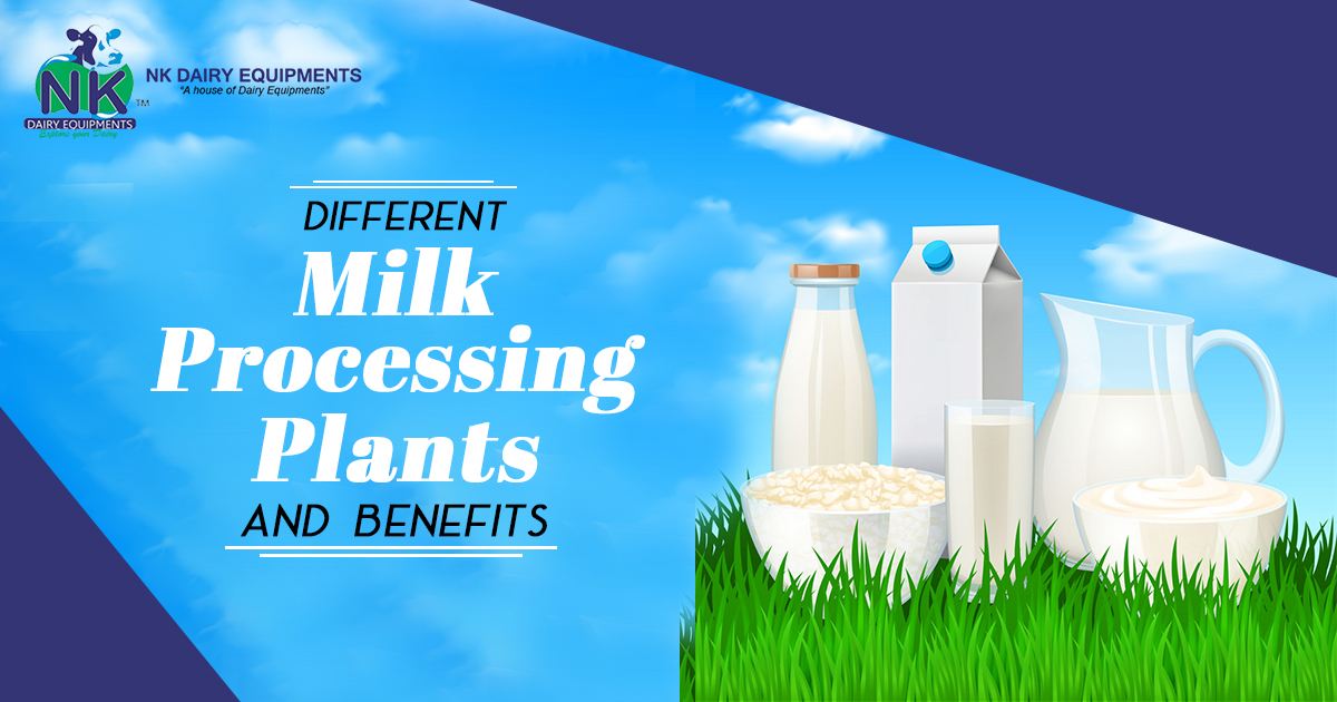 Different Milk Processing Plants and benefits