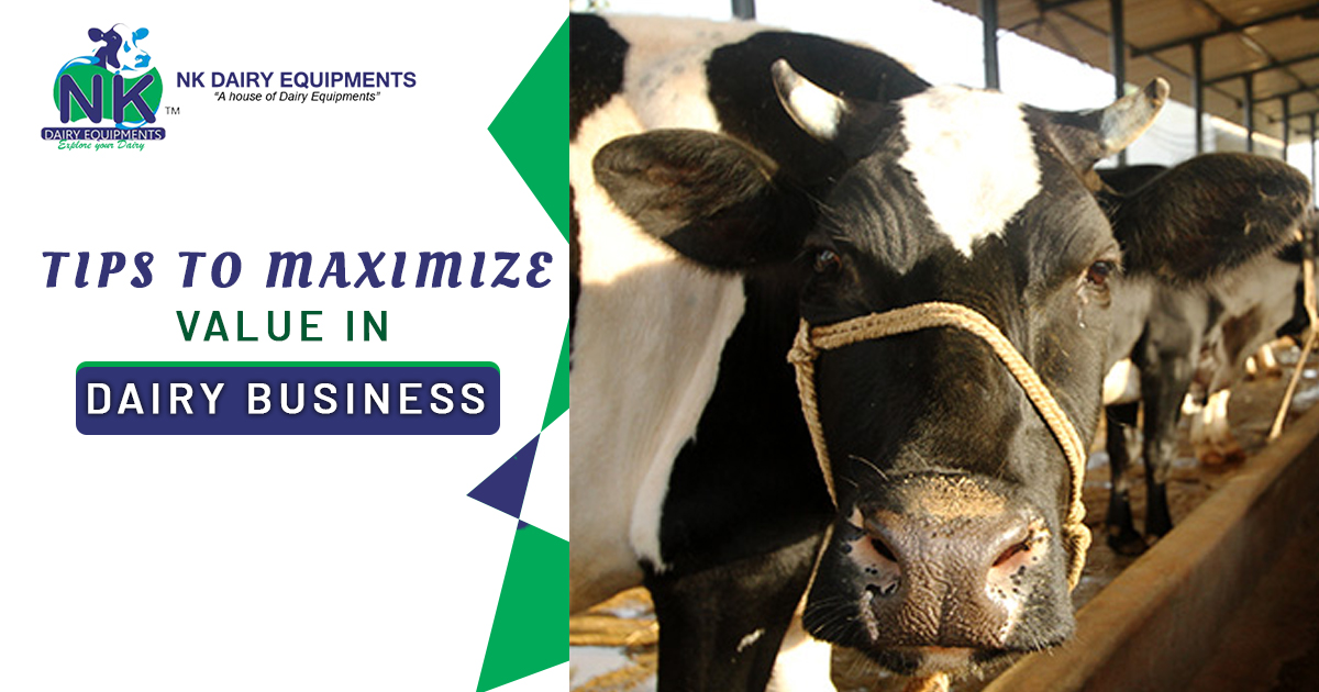 Tips to maximize value in dairy business