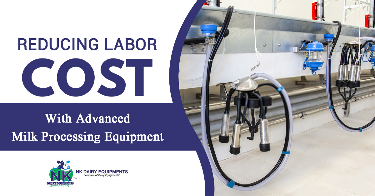 Reducing Labor cost with advanced milk processing equipment