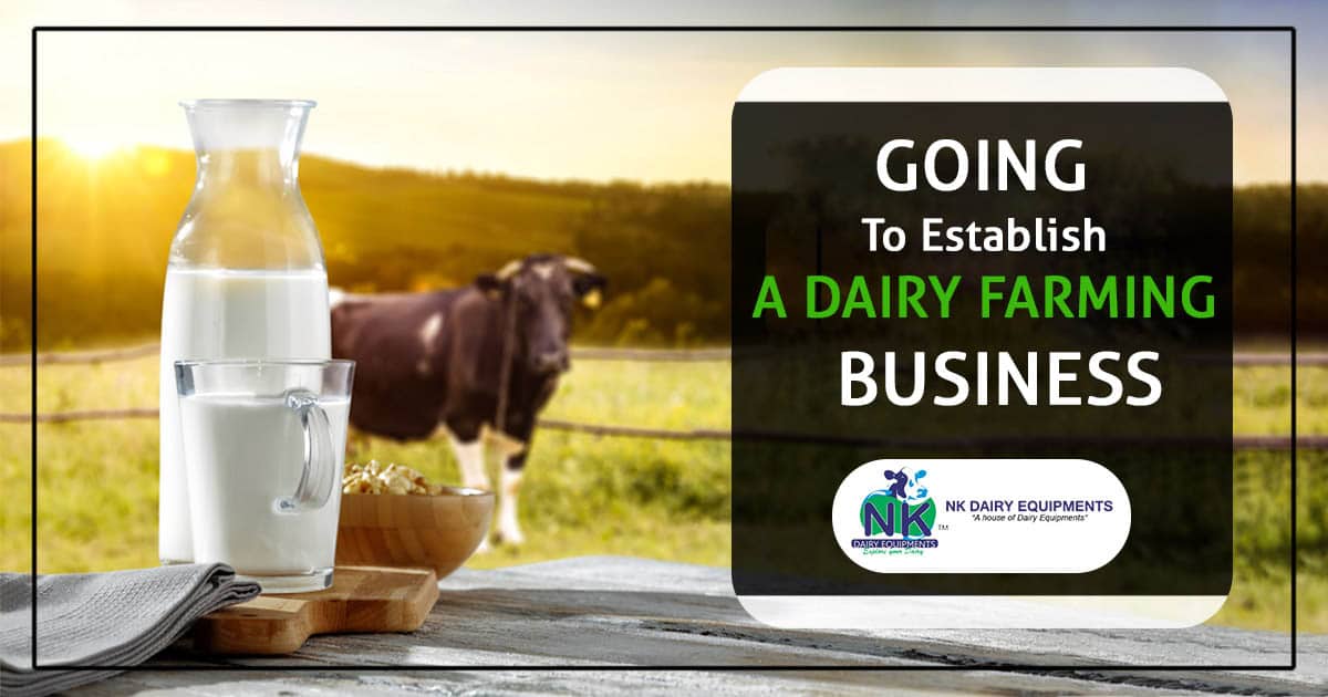 Going to establish a dairy farming business
