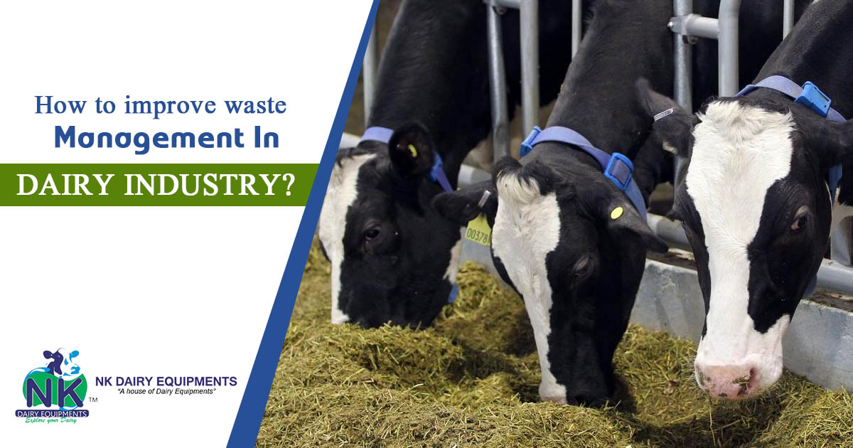 How to improve waste management in dairy industry