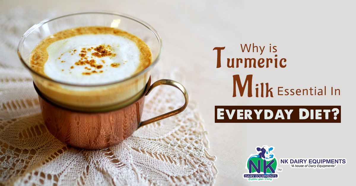 Why is Turmeric Milk essential in everyday diet