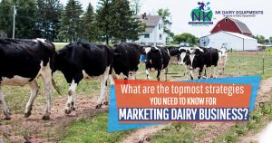 What are the topmost strategies you need to know for Marketing dairy business