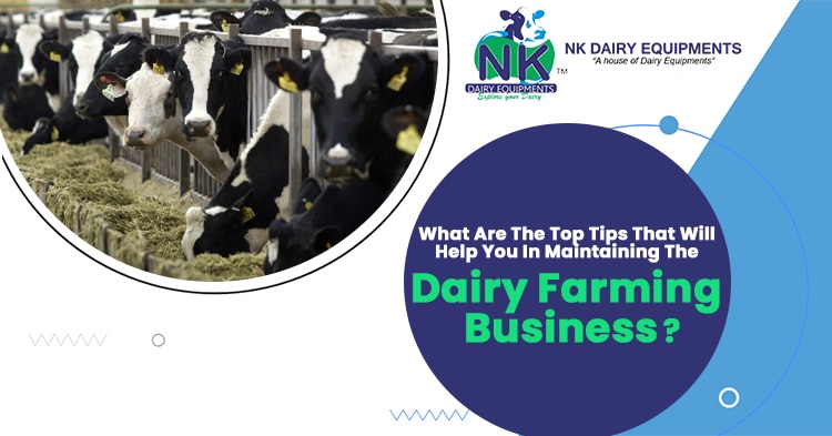 What are the top tips that will help you in maintaining the dairy farming business