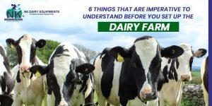 6 things that are imperative to understand before you set up the dairy farm