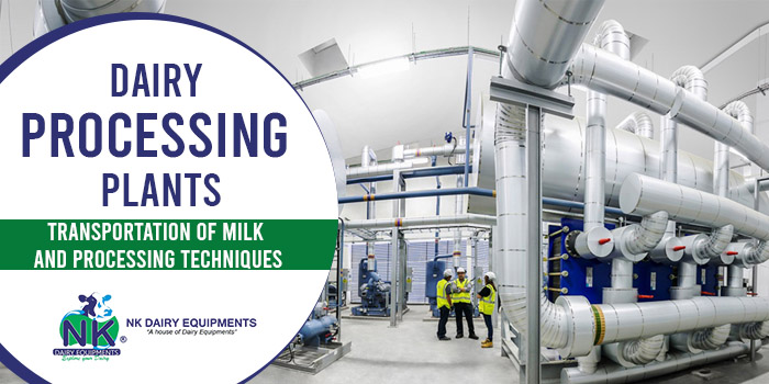 Dairy processing plants Transportation of milk and processing techniques
