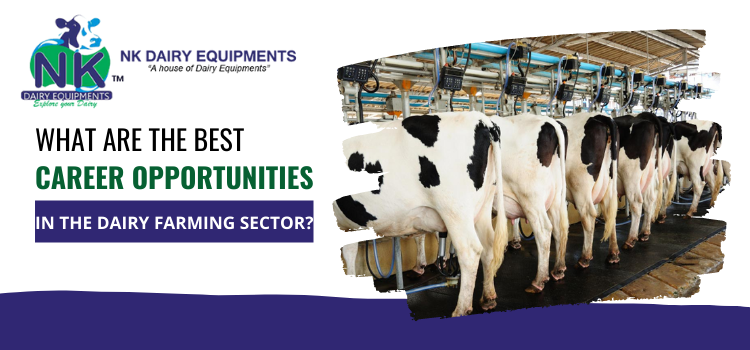 What are the best career opportunities in the dairy farming sector