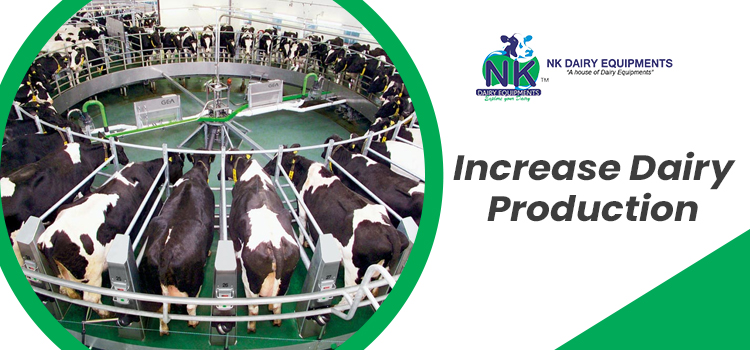 Increase-Dairy-Production-nk
