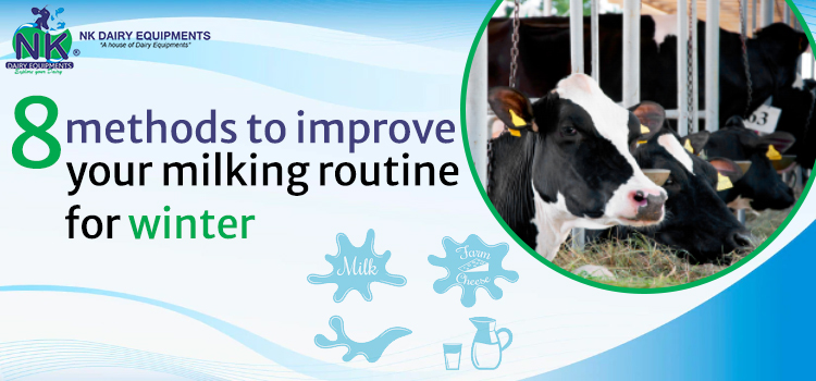 You should know 8 ways to prepare your milking routine for winter