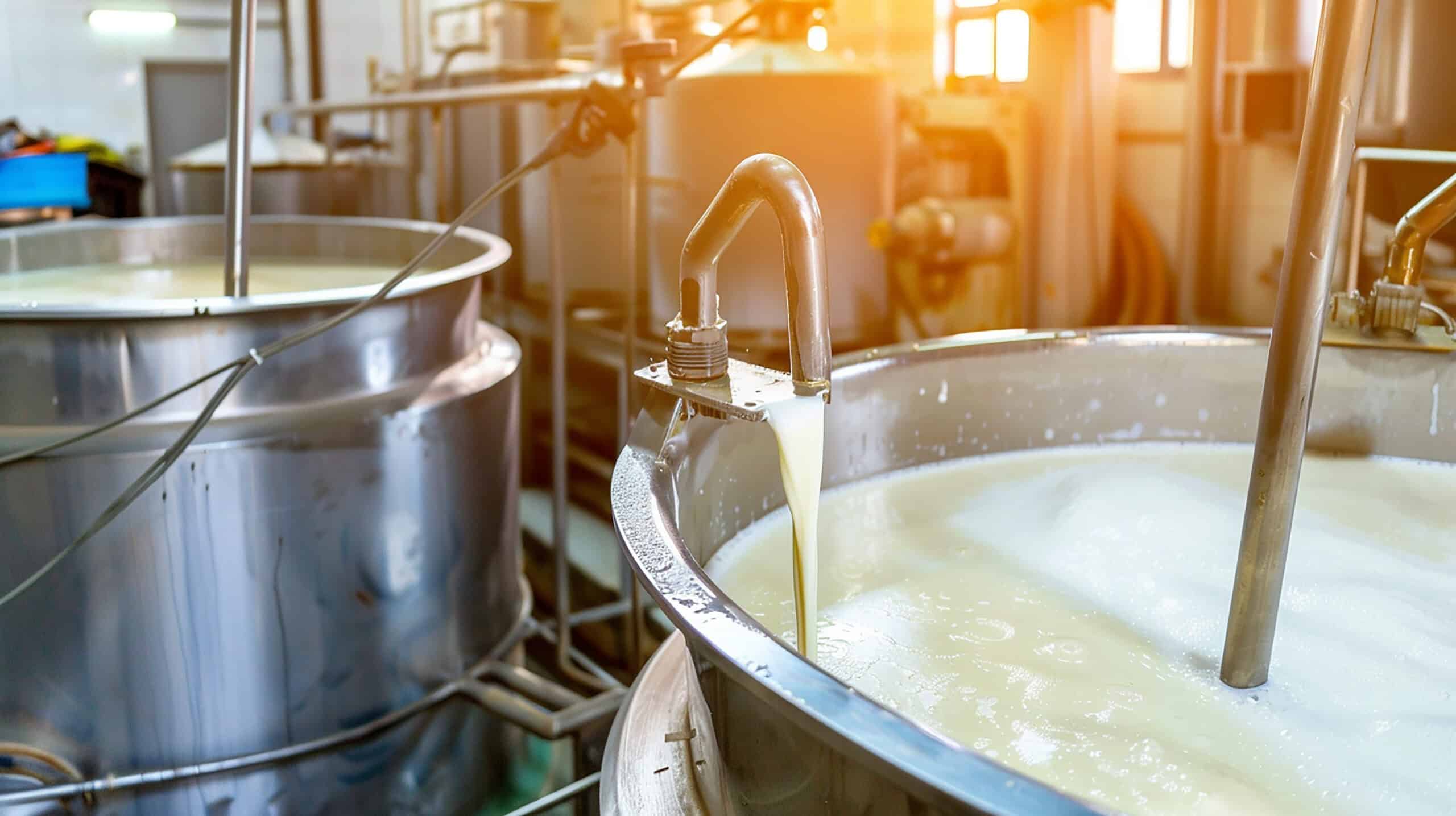 Have You Wondered What Oat Milk Is? Let’s Explore Its Processing!